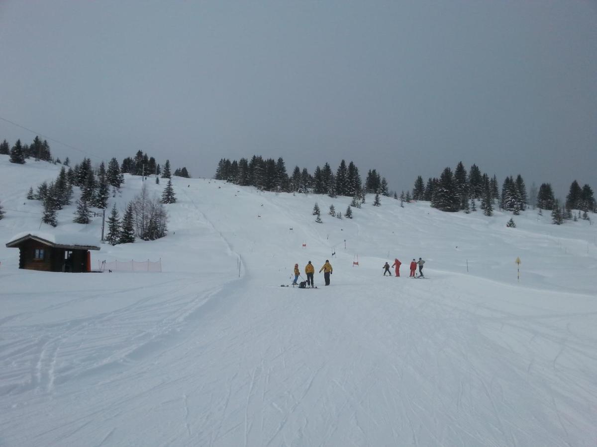 Le Chalet D'Eleonore Les Saisies Buitenkant foto